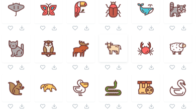 Photo of Растровая графика в веб-дизайне