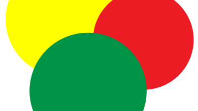 Photo of Полезные советы по растровой графике