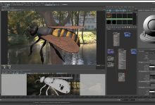 Photo of Создание 3D анимации с нуля