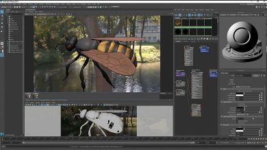 Photo of Создание 3D анимации с нуля