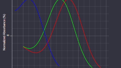 Photo of Цветовые модели в векторной графике
