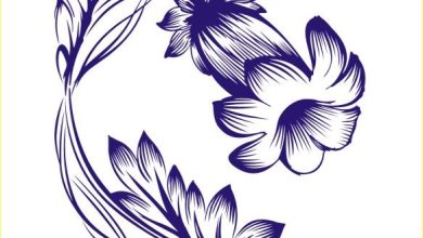 Photo of Работа с векторными шаблонами