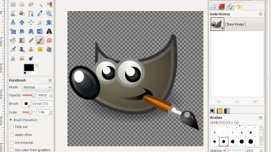 Photo of Лучшие программы для анимации