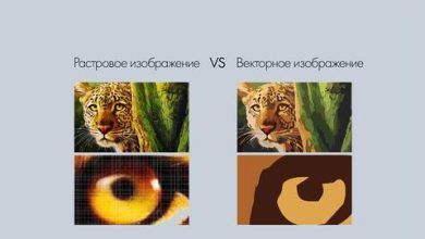 Photo of Печать векторных изображений